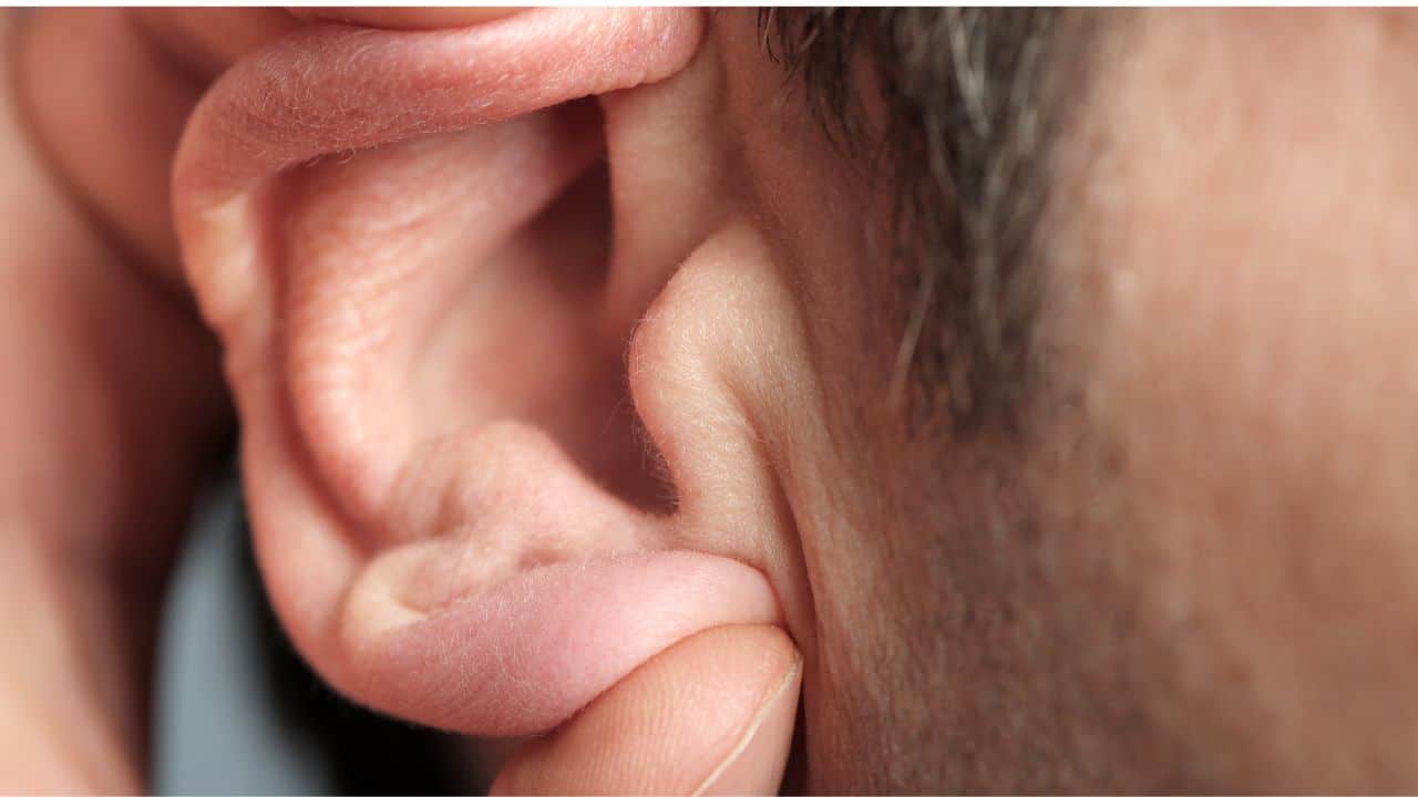 closeup-ear