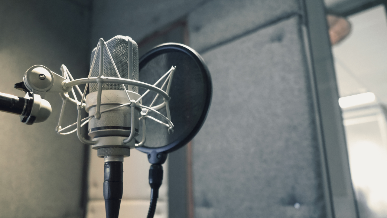 mic-with-shock-mount-and-pop-filter